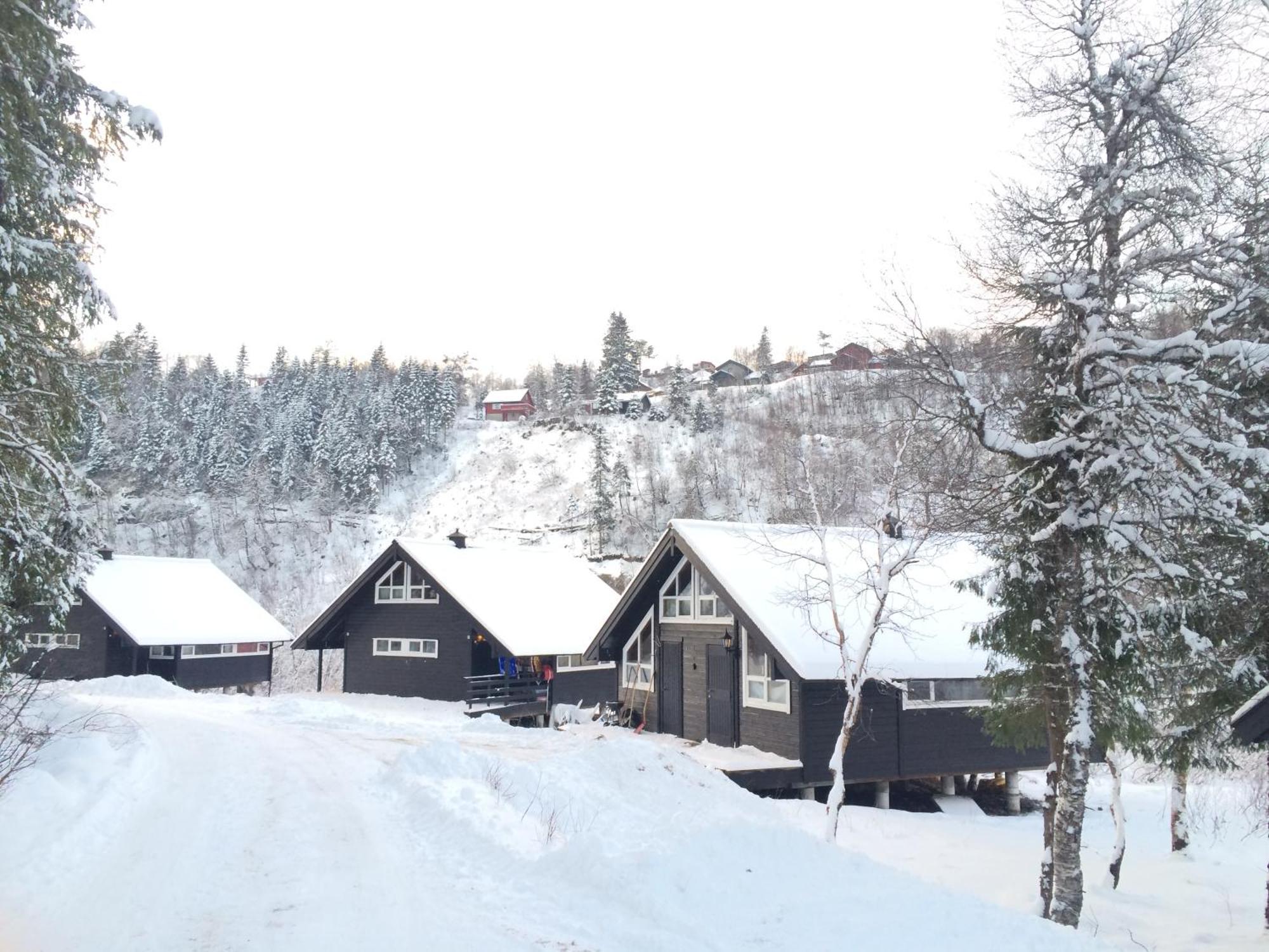 Kvamskogen & Hardanger Holliday Homes نورهايمسوند المظهر الخارجي الصورة