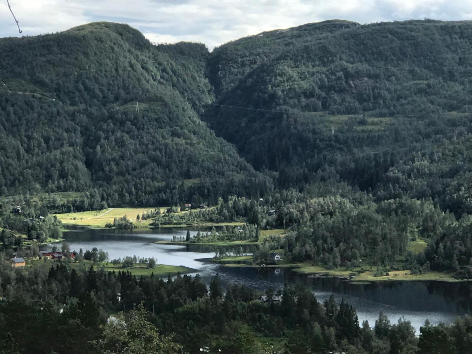 Kvamskogen & Hardanger Holliday Homes نورهايمسوند المظهر الخارجي الصورة
