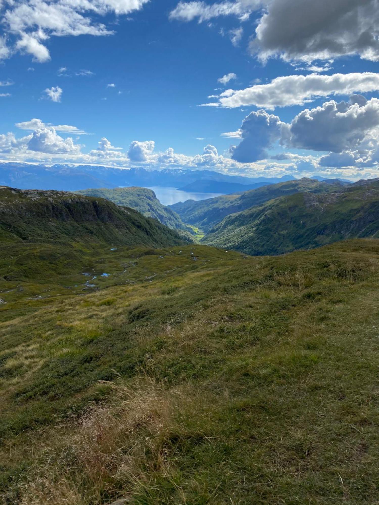 Kvamskogen & Hardanger Holliday Homes نورهايمسوند المظهر الخارجي الصورة